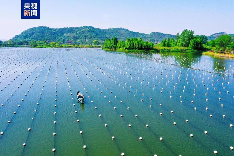 2025年常德畜牧水产将有哪些新突破？-第2张图片-宁夏农业信息网