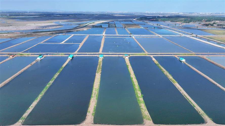 2025年常德畜牧水产将有哪些新突破？-第3张图片-宁夏农业信息网