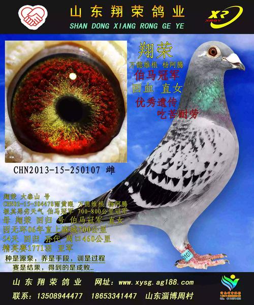 什么珍稀生肖需呵护？-第1张图片-宁夏农业信息网