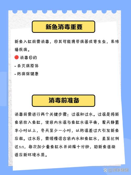 用生石灰为锦鲤杀虫方法-第2张图片-宁夏农业信息网