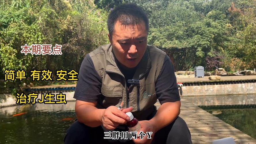 用生石灰为锦鲤杀虫方法-第3张图片-宁夏农业信息网