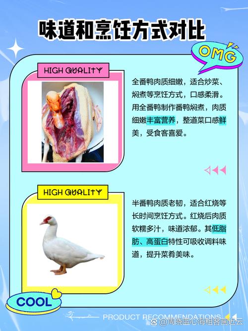 买小蛋鸭选品种，看这几点？-第3张图片-宁夏农业信息网