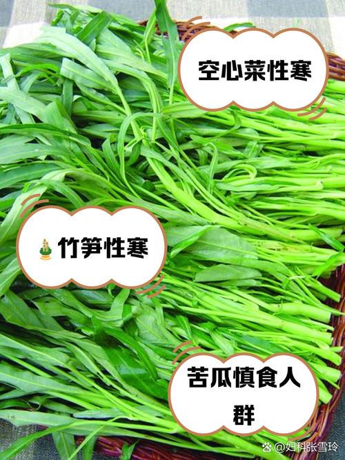 十大抗寒蔬菜品种，哪些最耐寒？-第1张图片-宁夏农业信息网