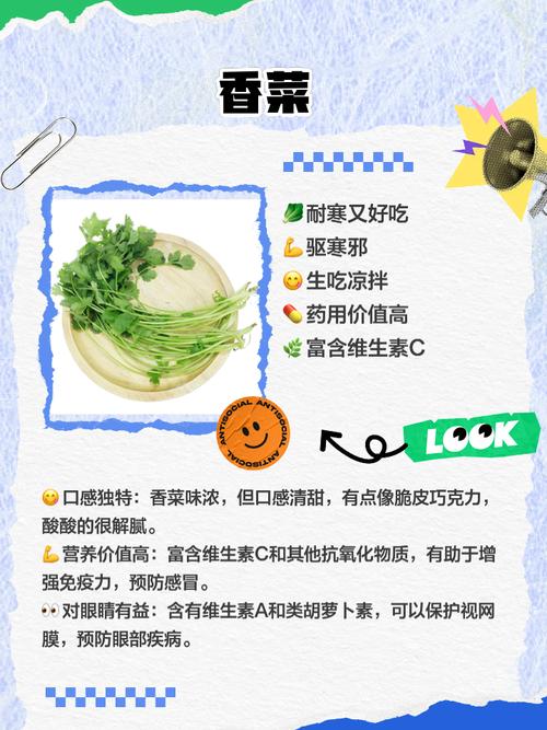 十大抗寒蔬菜品种，哪些最耐寒？-第3张图片-宁夏农业信息网