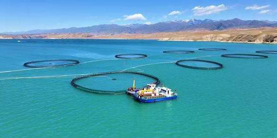 2025水产职业医师证怎么考？报考条件有哪些？-第3张图片-宁夏农业信息网