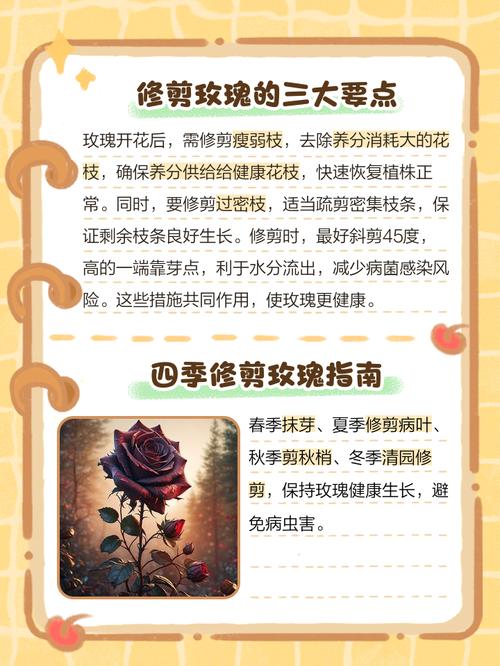 玫瑰花剪枝方法图片详解步骤是怎样的？-第1张图片-宁夏农业信息网