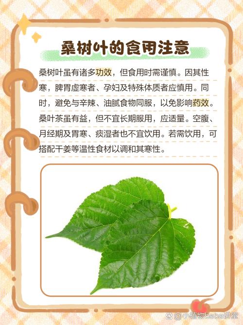 叶子最好处理的方法是什么？-第3张图片-宁夏农业信息网