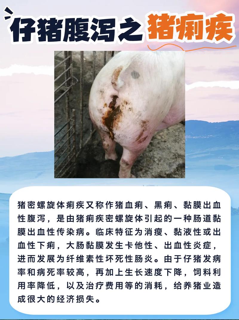 猪急性肠炎怎么治？快见效的方法有哪些？-第2张图片-宁夏农业信息网