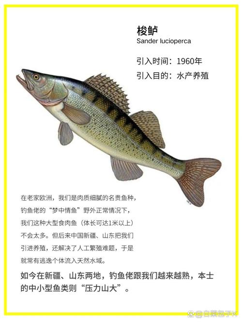 2025年国家水产名录有何调整与影响？-第2张图片-宁夏农业信息网