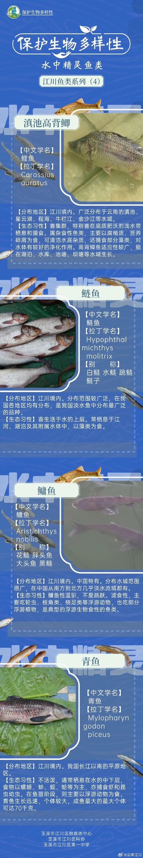 2025年国家水产名录有何调整与影响？-第3张图片-宁夏农业信息网