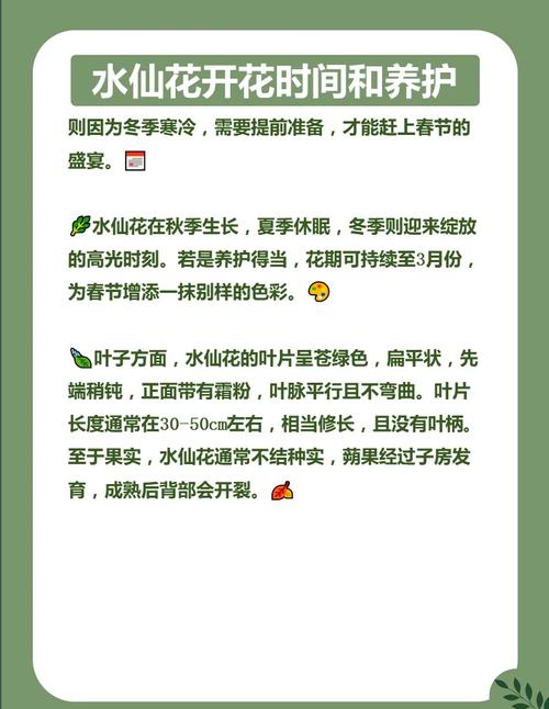 水仙花怎么种植方法时间-第2张图片-宁夏农业信息网 水仙花怎么种植方法时间-第2张图片-宁夏农业信息网