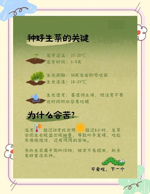 大青菜种子怎么种？步骤技巧有哪些？-第3张图片-宁夏农业信息网