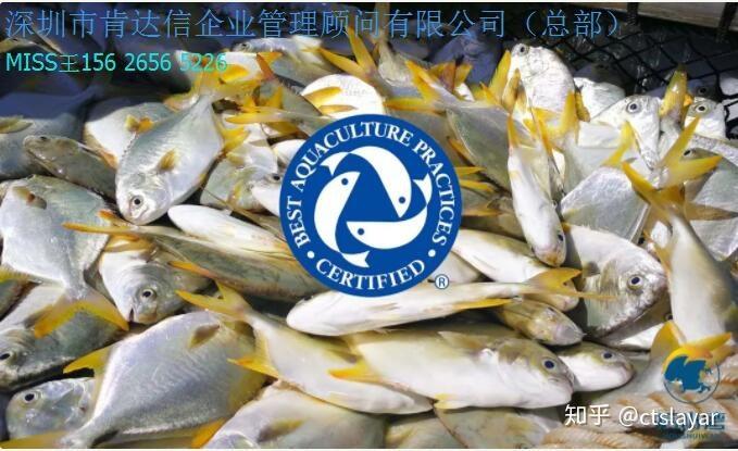 全球水产养殖联盟GAA如何推动行业可持续发展？-第2张图片-宁夏农业信息网