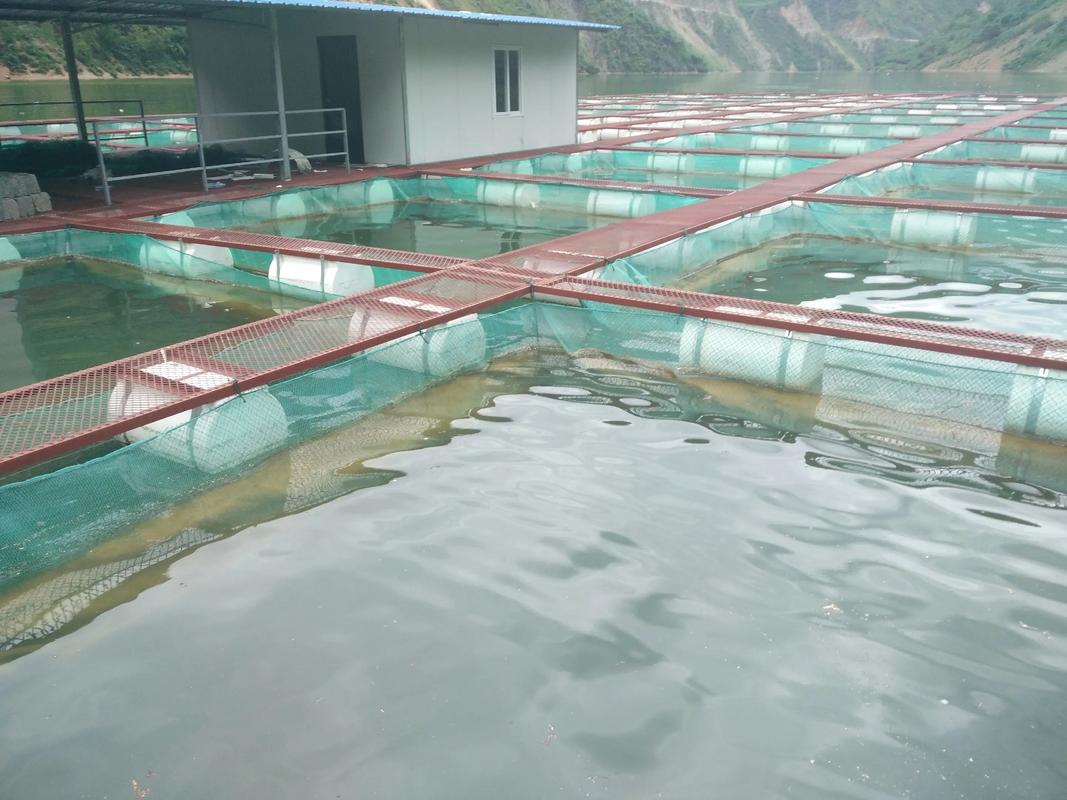 中国水产养殖现状如何?-第1张图片-宁夏农业信息网 中国水产养殖现状如何?-第1张图片-宁夏农业信息网