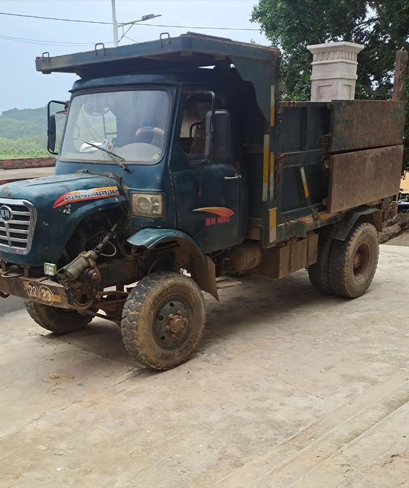 广西灵山县二手农用车价格多少？-第2张图片-宁夏农业信息网