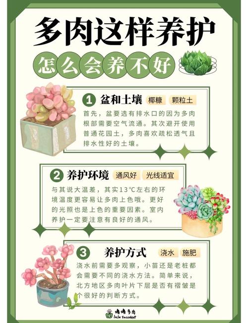 植物养护关键有哪些？注意事项别忽略！-第2张图片-宁夏农业信息网