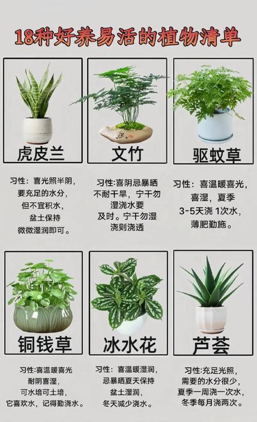 植物养护关键有哪些？注意事项别忽略！-第3张图片-宁夏农业信息网