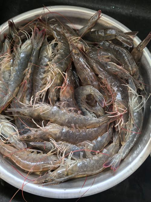 38元一只的虾是什么品种？-第2张图片-宁夏农业信息网