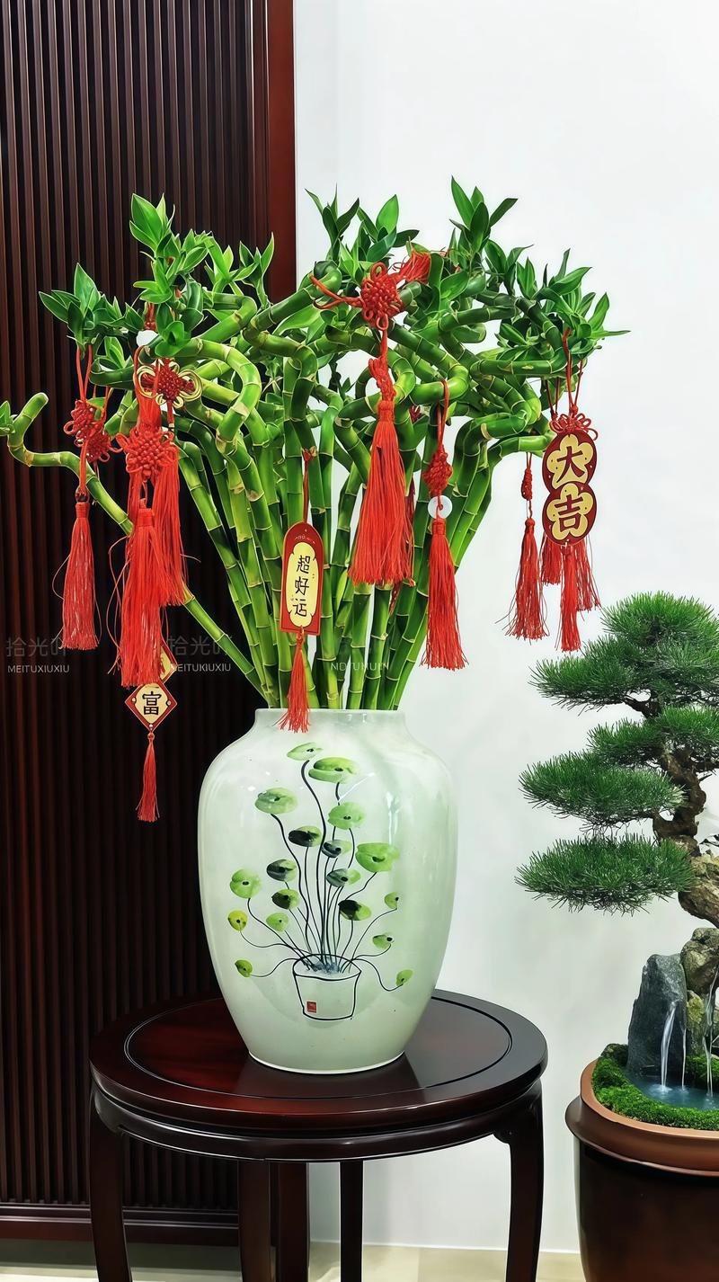 客厅养富贵竹哪个品种好-第2张图片-宁夏农业信息网