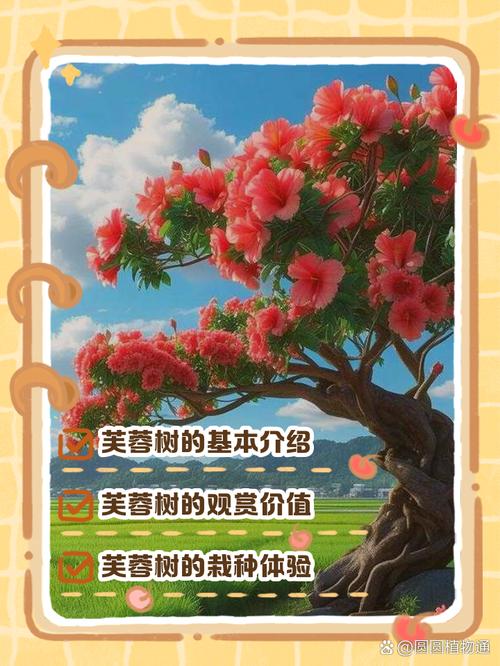 芙蓉树的养殖方法和条件-第1张图片-宁夏农业信息网