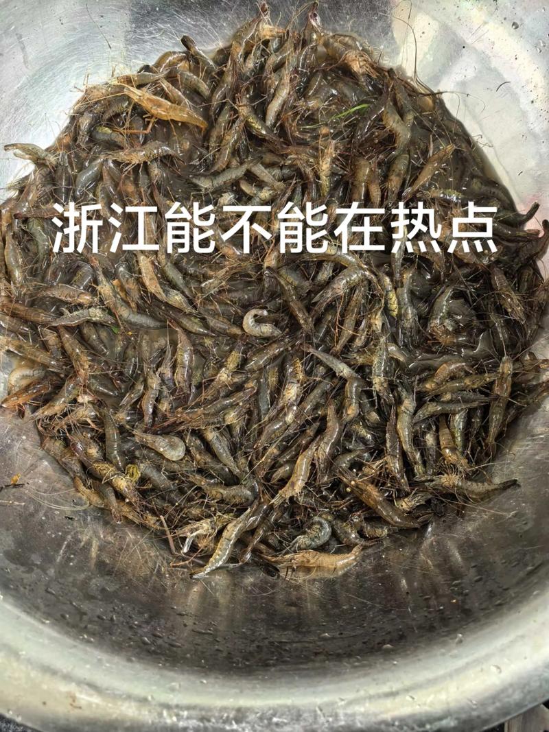 2025 湖南 水产品-第2张图片-宁夏农业信息网