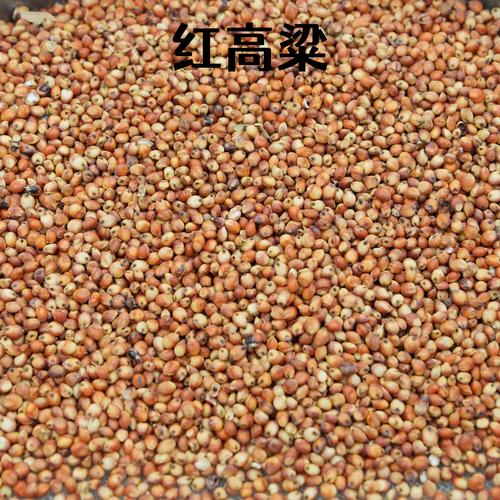 带红粮食是哪些品种？-第2张图片-宁夏农业信息网