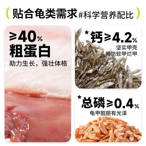 越南石金钱龟是龟类什么品种？-第2张图片-宁夏农业信息网