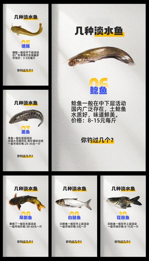 卖水产品算不算水产品行业？-第3张图片-宁夏农业信息网