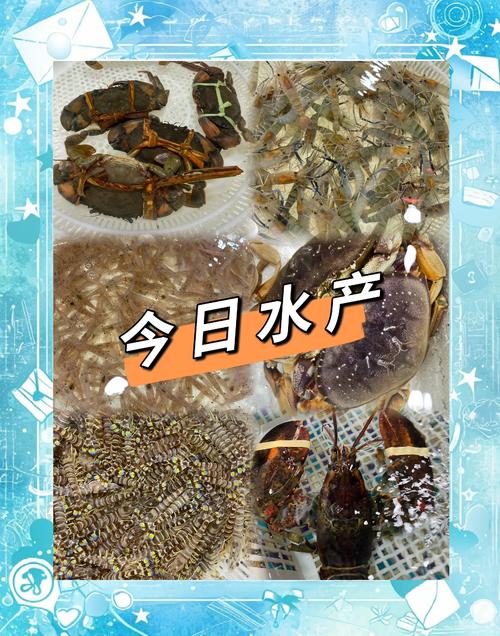 卖水产品算不算水产品行业？-第2张图片-宁夏农业信息网