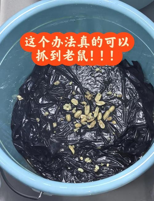 用什么方法最快挖到竹鼠-第1张图片-宁夏农业信息网