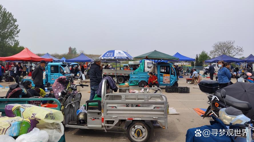 南阳二手农用车赶集网能买到靠谱车吗？-第3张图片-宁夏农业信息网