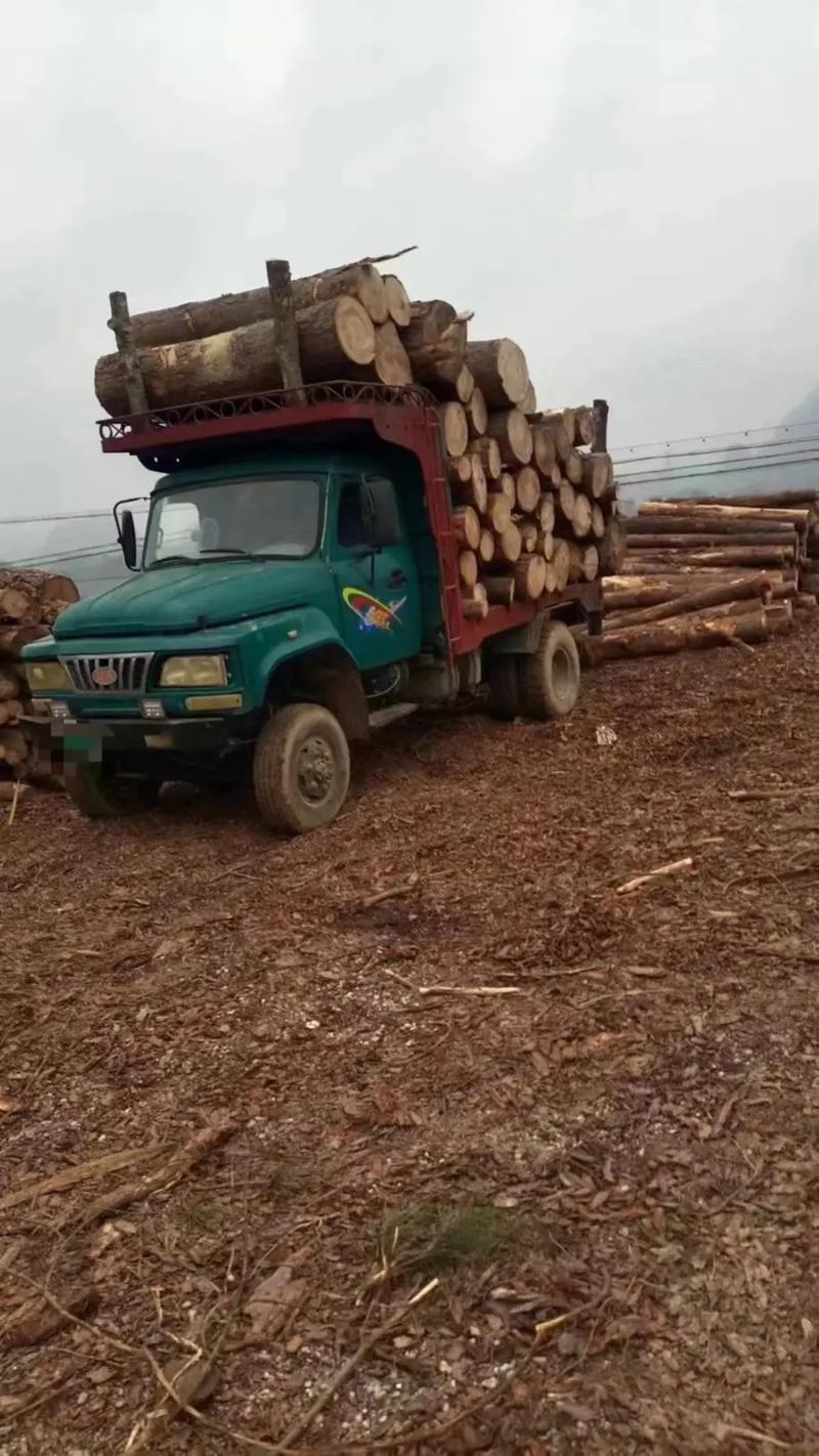 贺州二手农用车百姓哪里买划算？-第2张图片-宁夏农业信息网