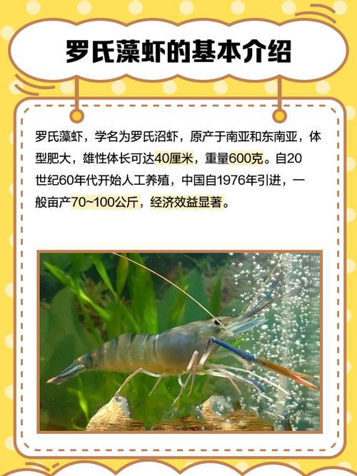 水产学报与中国水产科学有何异同?-第2张图片-宁夏农业信息网 水产学报与中国水产科学有何异同?-第2张图片-宁夏农业信息网