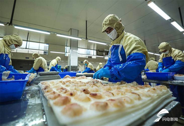 水产加工企业出口面临哪些挑战?-第3张图片-宁夏农业信息网 水产加工企业出口面临哪些挑战?-第3张图片-宁夏农业信息网