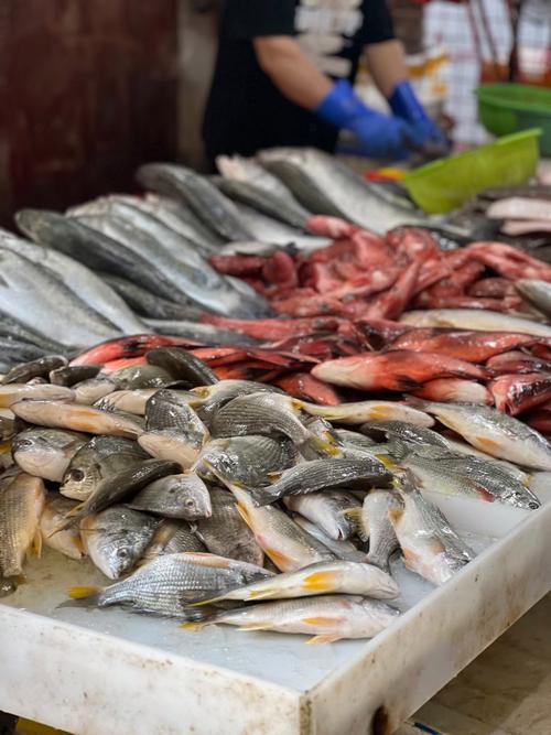 重庆盘溪水产品批发市场有何特色？-第2张图片-宁夏农业信息网