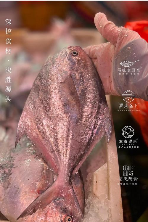 椒江海鲜批发市场最新价多少？-第2张图片-宁夏农业信息网