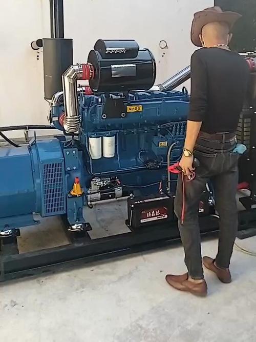 农用车装220V发电机可行吗？-第2张图片-宁夏农业信息网