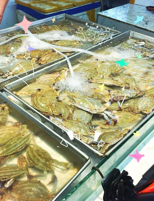 威海顺河街水产批发市场怎么样？-第3张图片-宁夏农业信息网