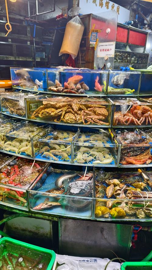 沈阳水产品龙虾批发市场在哪？价格多少？-第3张图片-宁夏农业信息网