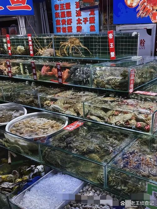 沈阳水产品龙虾批发市场在哪？价格多少？-第2张图片-宁夏农业信息网