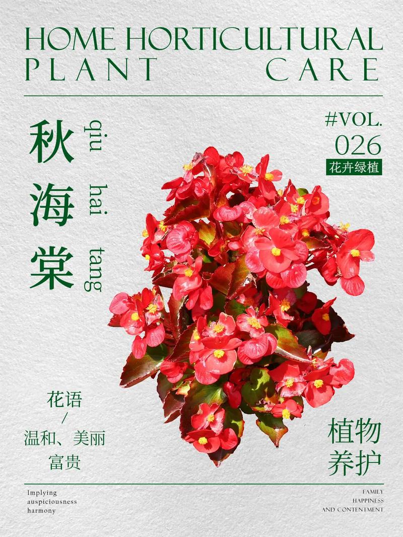 丽格海棠怎么修剪栽培？-第2张图片-宁夏农业信息网