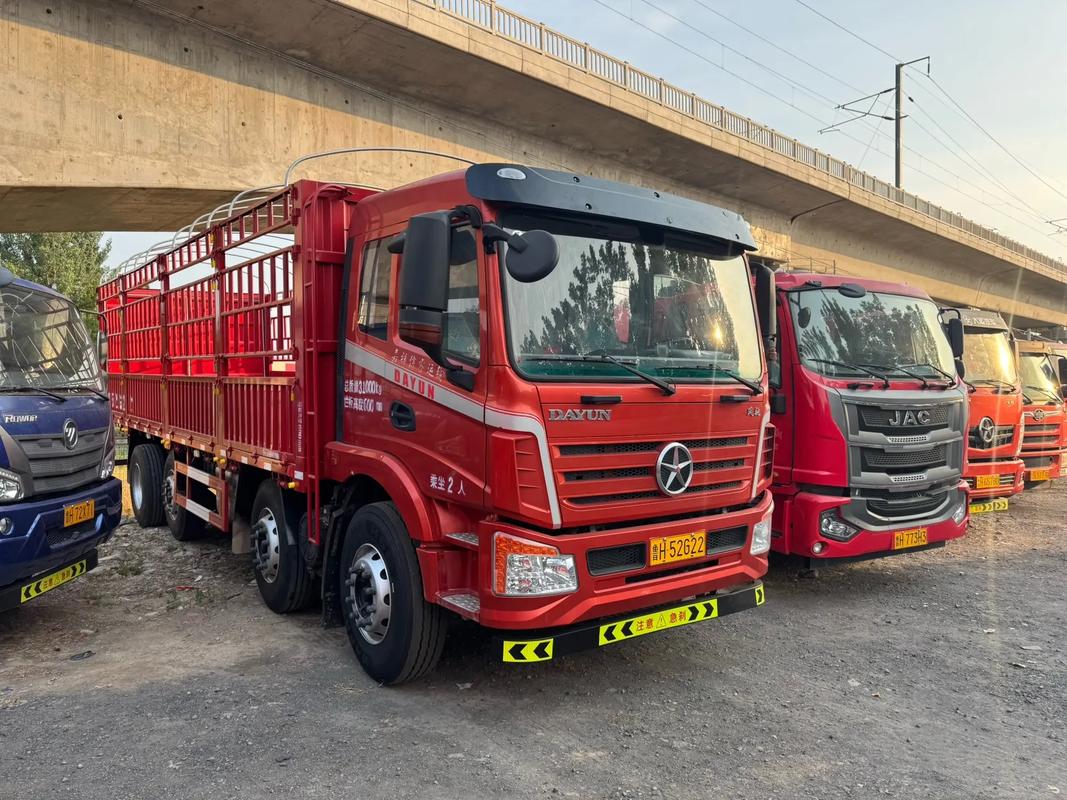 大运运驰农用车质量与性价比如何？-第1张图片-宁夏农业信息网