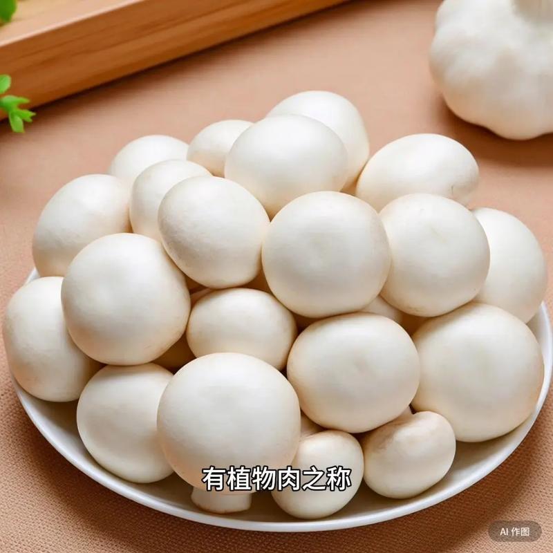 农科院双孢菇有哪些品种?-第3张图片-宁夏农业信息网 农科院双孢菇有哪些品种?-第3张图片-宁夏农业信息网