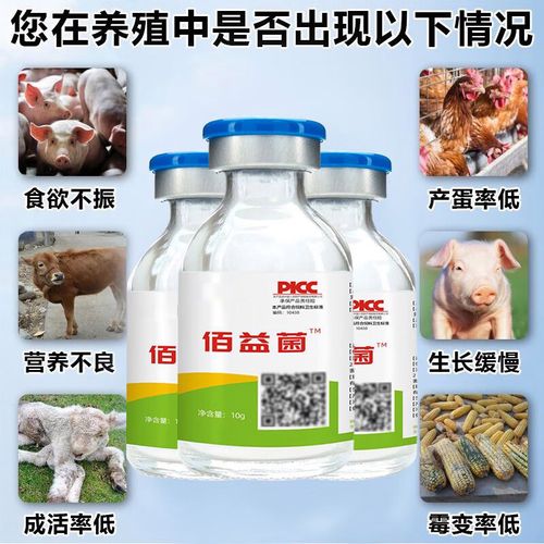 牛羊饲料发酵液怎么用才有效?-第2张图片-宁夏农业信息网 牛羊饲料发酵液怎么用才有效?-第2张图片-宁夏农业信息网