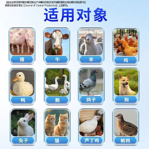 牛羊饲料发酵液怎么用才有效？-第1张图片-宁夏农业信息网