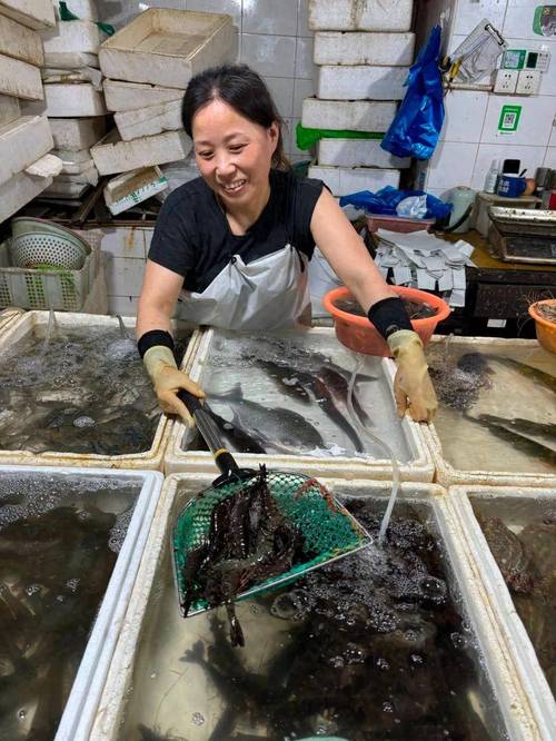 浙江最大水产批发市场在哪里？-第3张图片-宁夏农业信息网