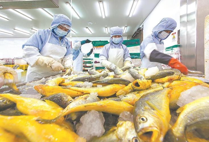水产品加工新技术如何赋能营销创新？-第2张图片-宁夏农业信息网
