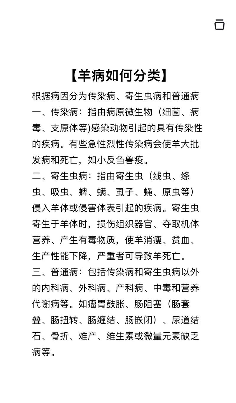 羊病如何预防与治疗?-第2张图片-宁夏农业信息网 羊病如何预防与治疗?-第2张图片-宁夏农业信息网