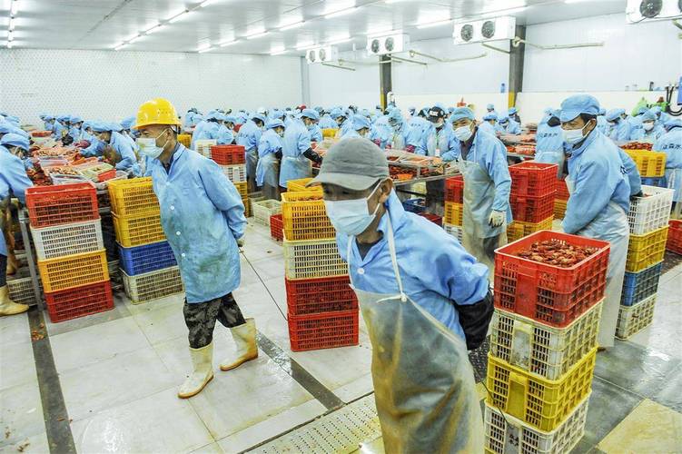 沈阳水产品加工有限公司主营什么业务？-第2张图片-宁夏农业信息网