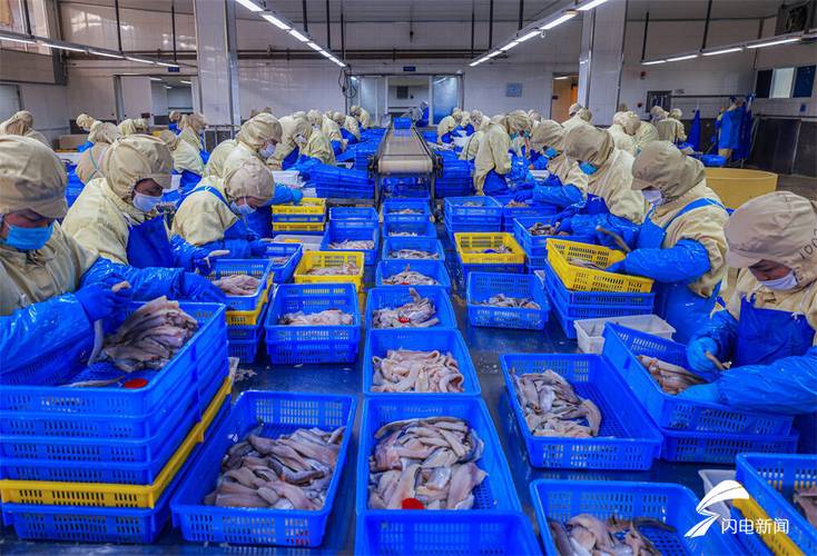 沈阳水产品加工有限公司主营什么业务？-第3张图片-宁夏农业信息网